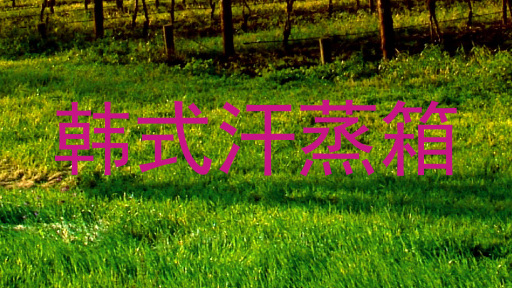 韩式汗蒸箱