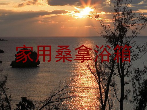 家用桑拿浴箱