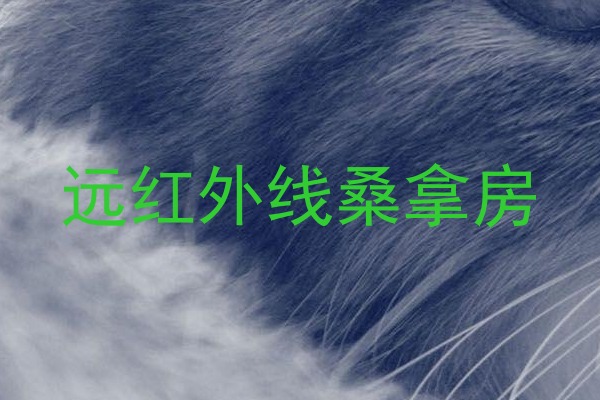 远红外线桑拿房
