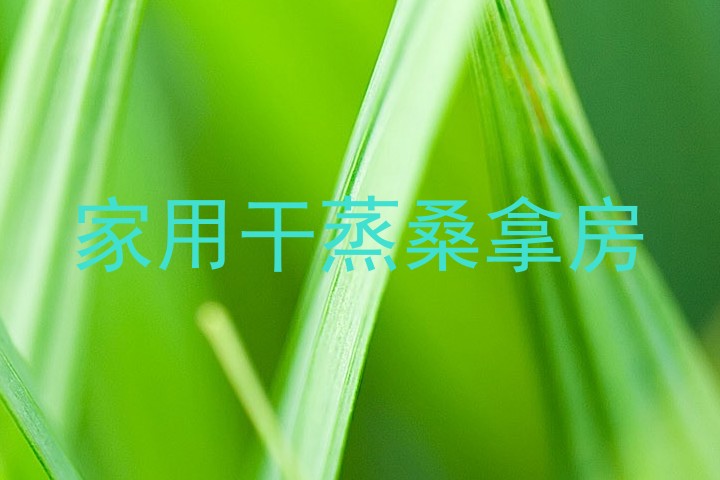 家用干蒸桑拿房