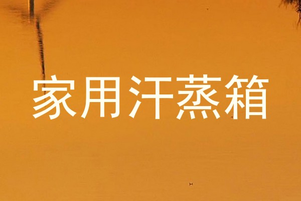 家用汗蒸箱
