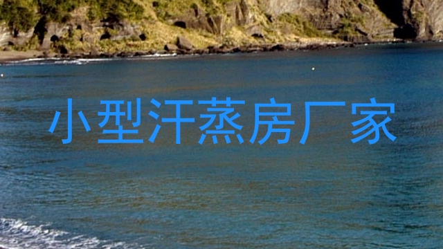 小型汗蒸房厂家