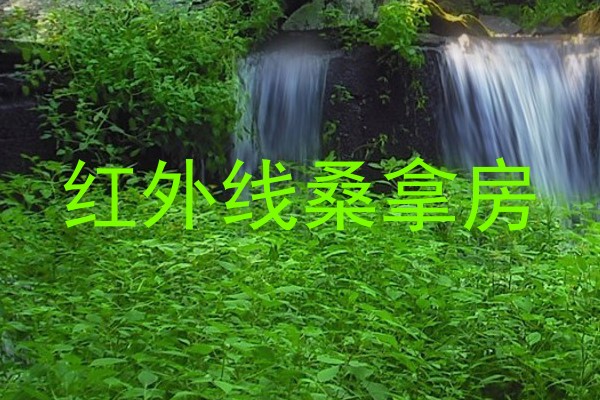 红外线桑拿房