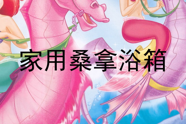 家用桑拿浴箱