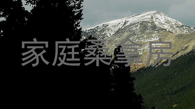 家庭桑拿房
