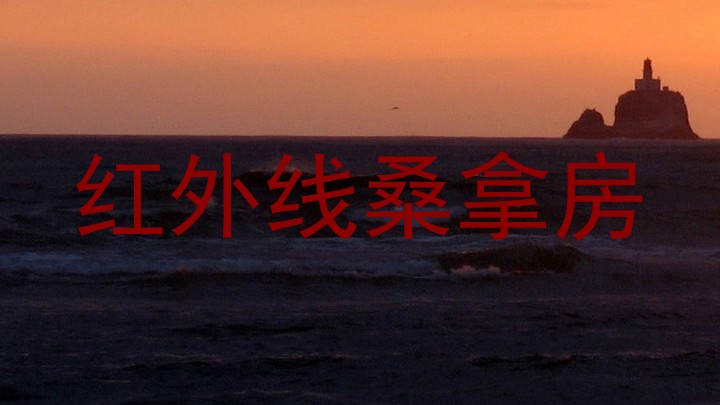 红外线桑拿房