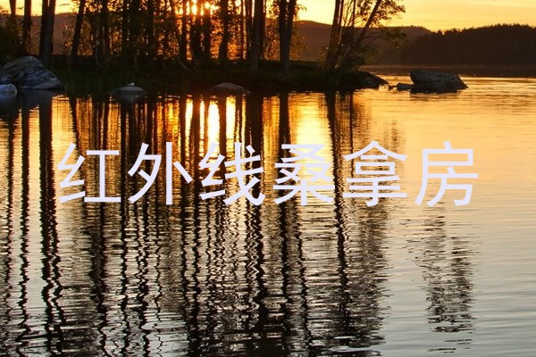 红外线桑拿房