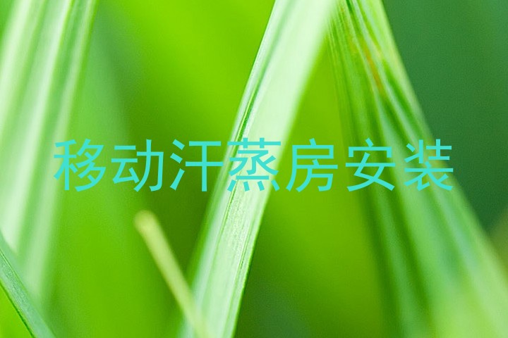 移动汗蒸房安装