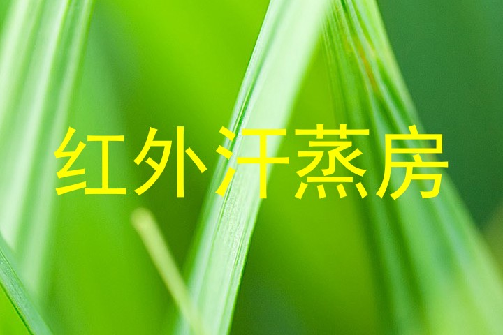 红外汗蒸房