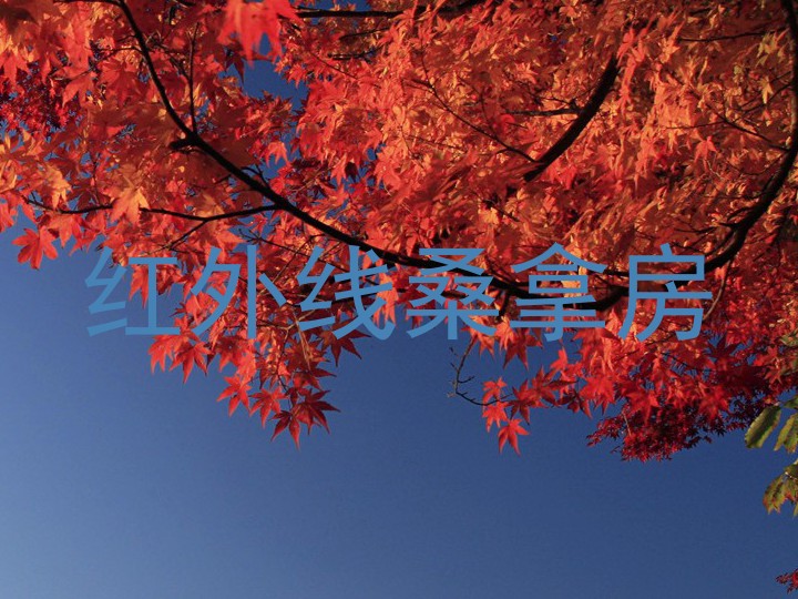 红外线桑拿房