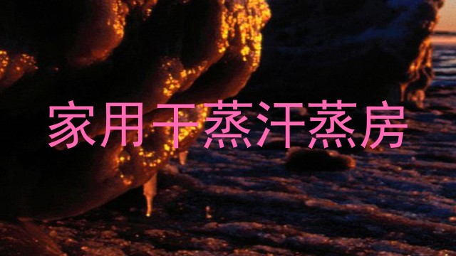 家用干蒸汗蒸房