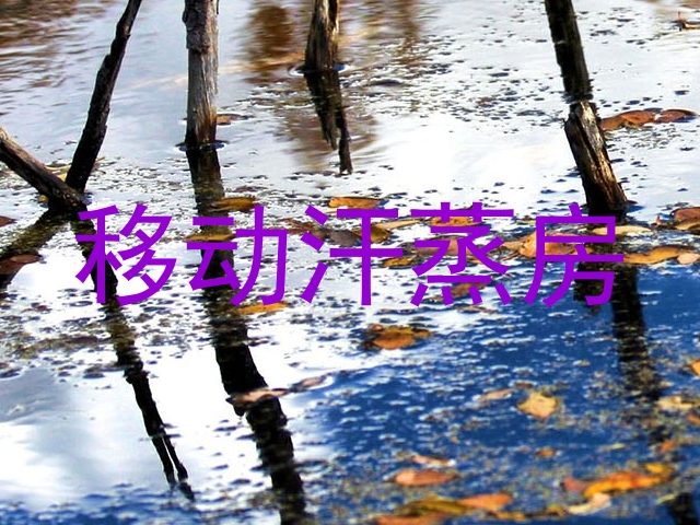 移动汗蒸房