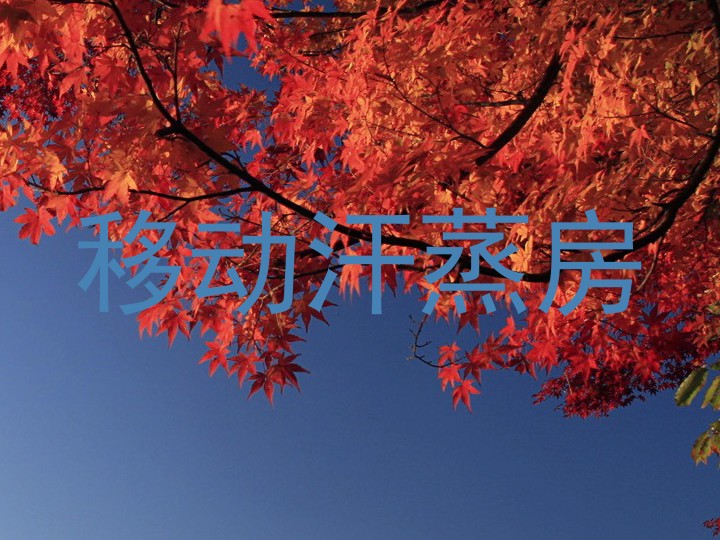 移动汗蒸房