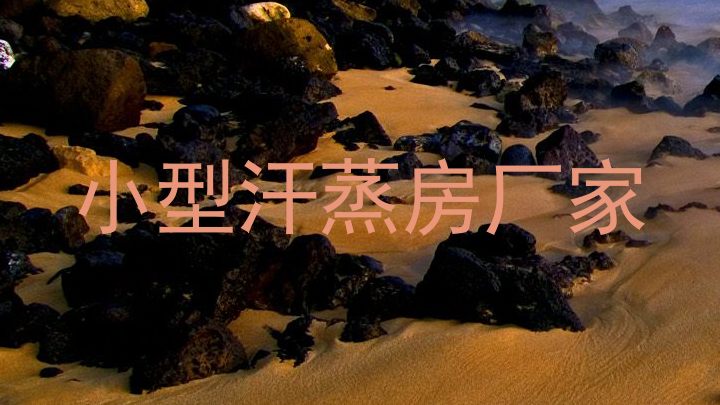 小型汗蒸房厂家
