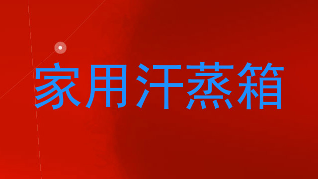 家用汗蒸箱