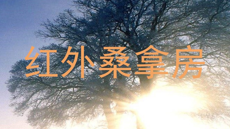 红外桑拿房