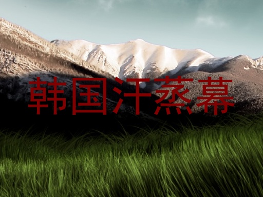 韩国汗蒸幕