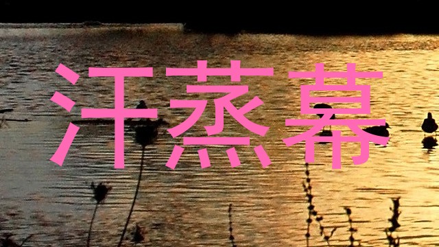 汗蒸幕