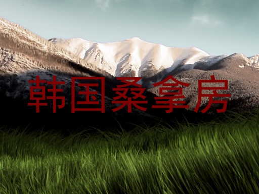 韩国桑拿房