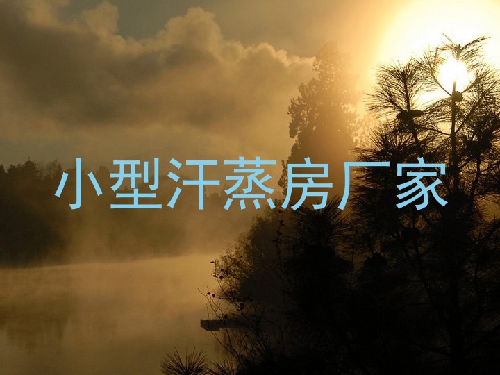小型汗蒸房厂家