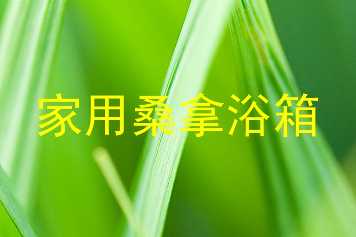 家用桑拿浴箱