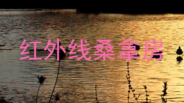 红外线桑拿房