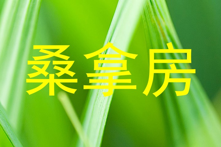 桑拿房