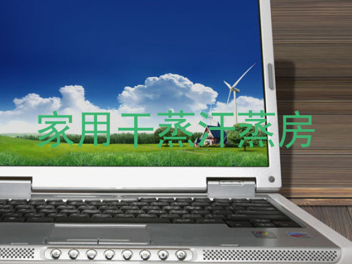家用干蒸汗蒸房
