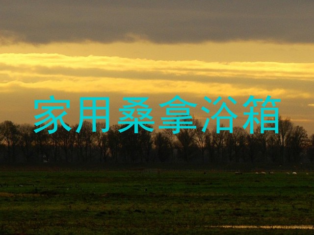 家用桑拿浴箱
