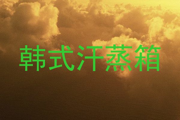 韩式汗蒸箱