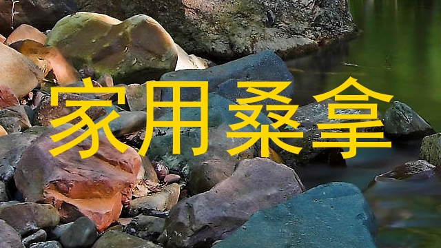 家用桑拿
