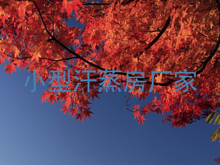 小型汗蒸房厂家