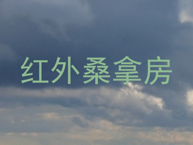 红外桑拿房