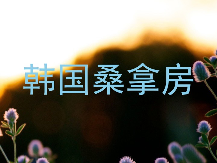 韩国桑拿房