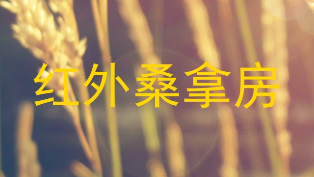 红外桑拿房