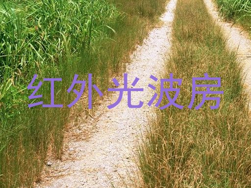 红外光波房