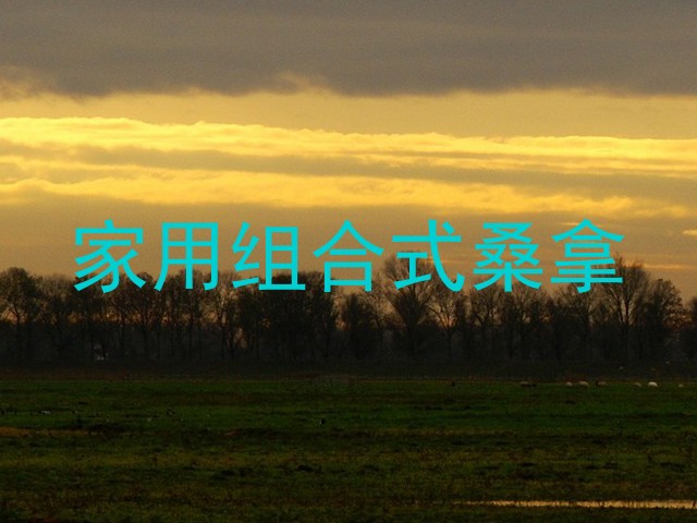 家用组合式桑拿