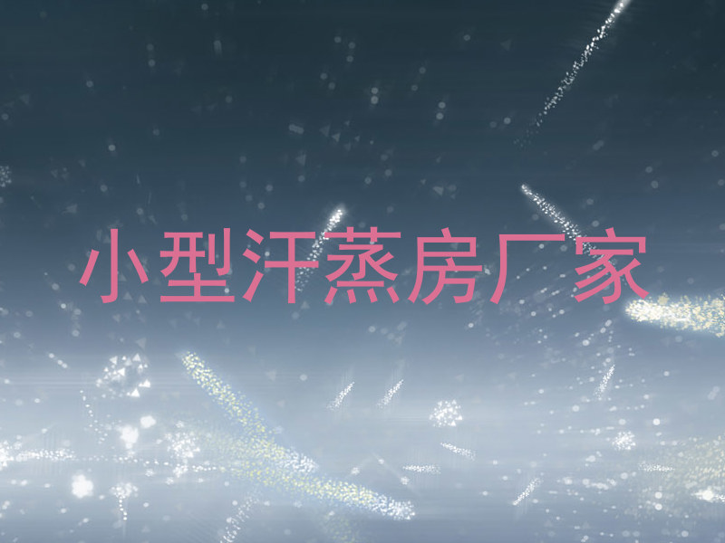 小型汗蒸房厂家