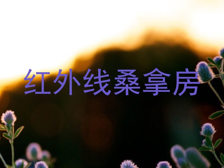 红外线桑拿房