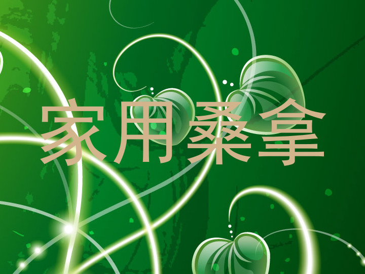 家用桑拿