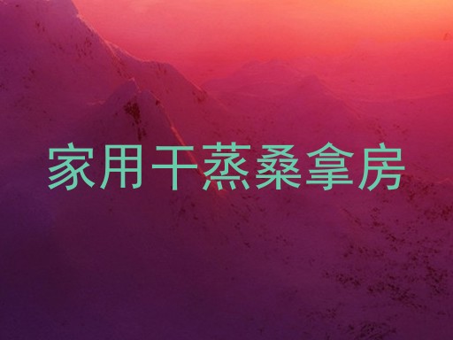 家用干蒸桑拿房