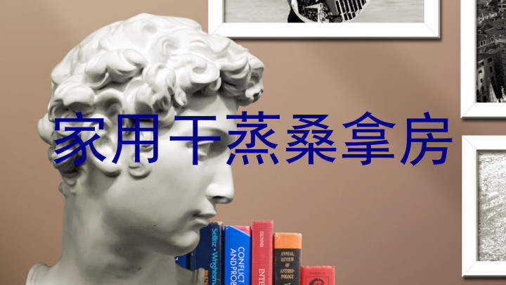 家用干蒸桑拿房