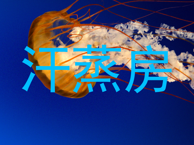 汗蒸房