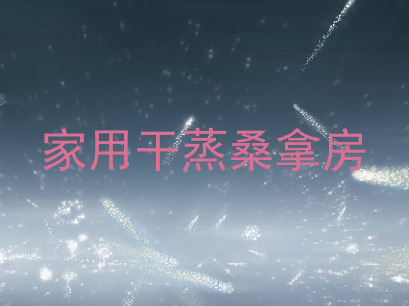 家用干蒸桑拿房