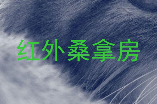 红外桑拿房