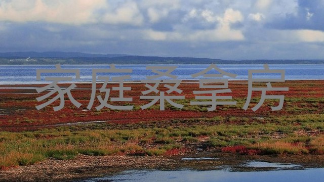 家庭桑拿房