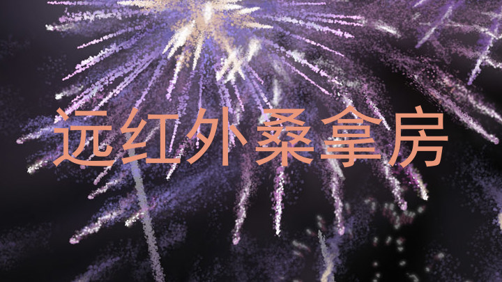 远红外桑拿房