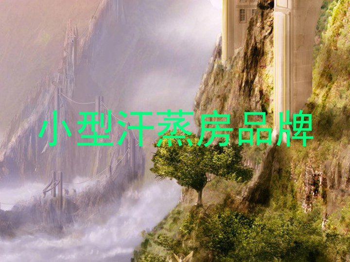 小型汗蒸房品牌