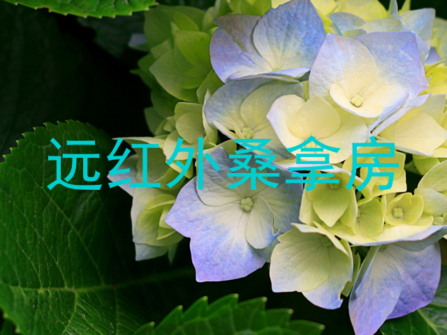 远红外桑拿房