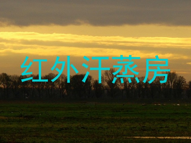 红外汗蒸房
